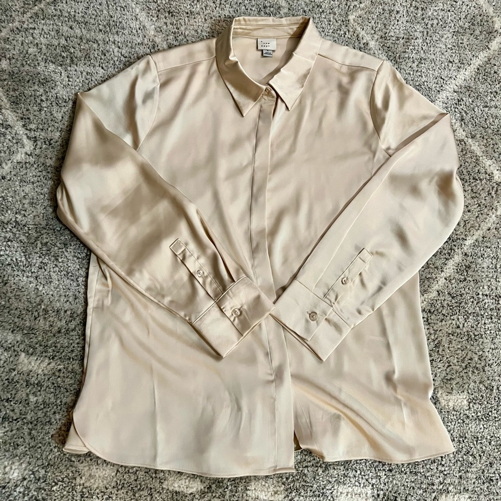 A New Day Silky Blouse